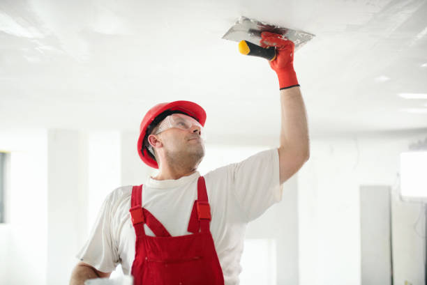 Best Drywall Installation  in Glenwood, IA